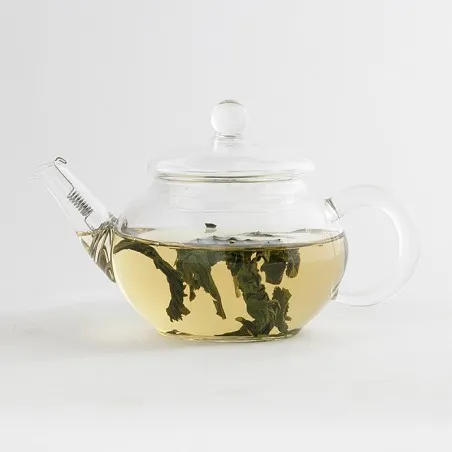 Canton Tea Shen Glass theepot