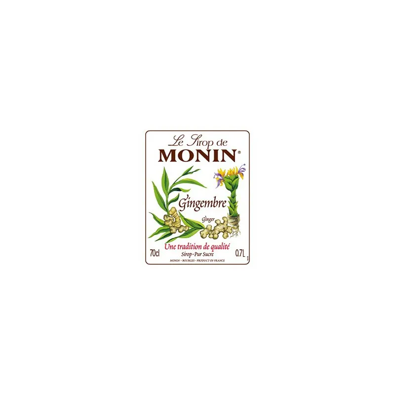 Op zoek naar Monin gember siroop? Wij leveren voordelig en snel!