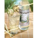 Monin citroengras siroop
