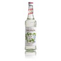 Op zoek naar Monin Mojito-Mint siroop? Wij leveren voordelig en snel!