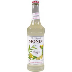 Op zoek naar Monin gember siroop? Wij leveren voordelig en snel!