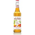 Monin Spicy Mango Siroop