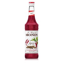 Op zoek naar Monin spicy siroop? Wij leveren voordelig en snel!