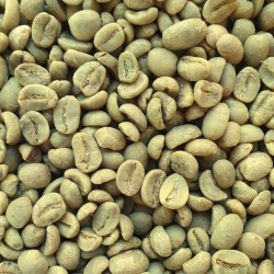 Honduras Ongebrande (groene) koffiebonen
