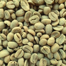 Nicaragua ongebrande koffiebonen