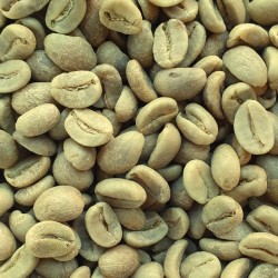 Ongebrande koffiebonen Peru HB Grade 1