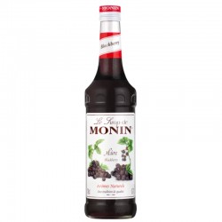 Monin Bramen Siroop fles van 0,7 liter