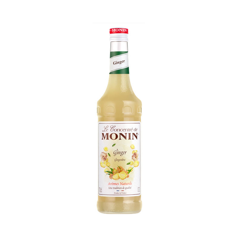 Monin Gember Concentraat|Monin|Monin