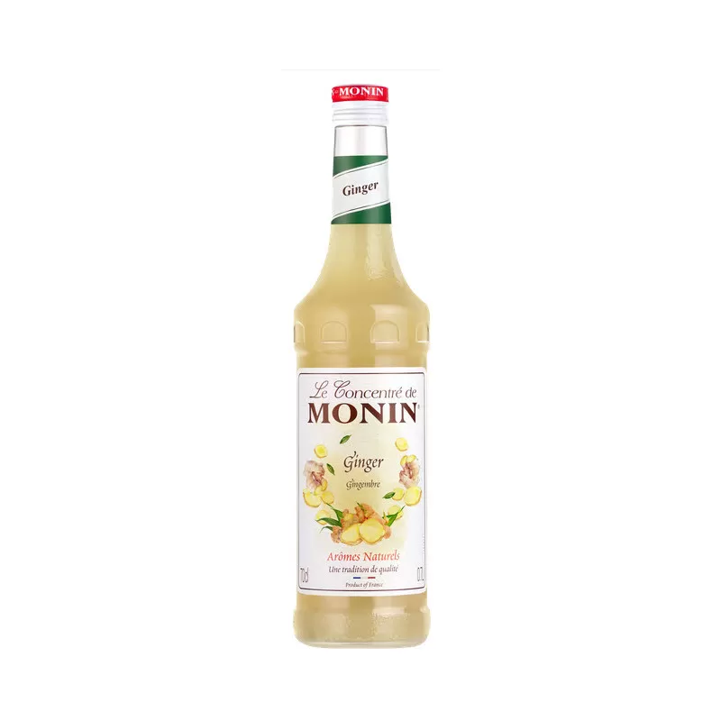 Monin Gember Concentraat|Monin|Monin