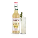 Monin Gember concentraat | dekoffiethuiswinkel