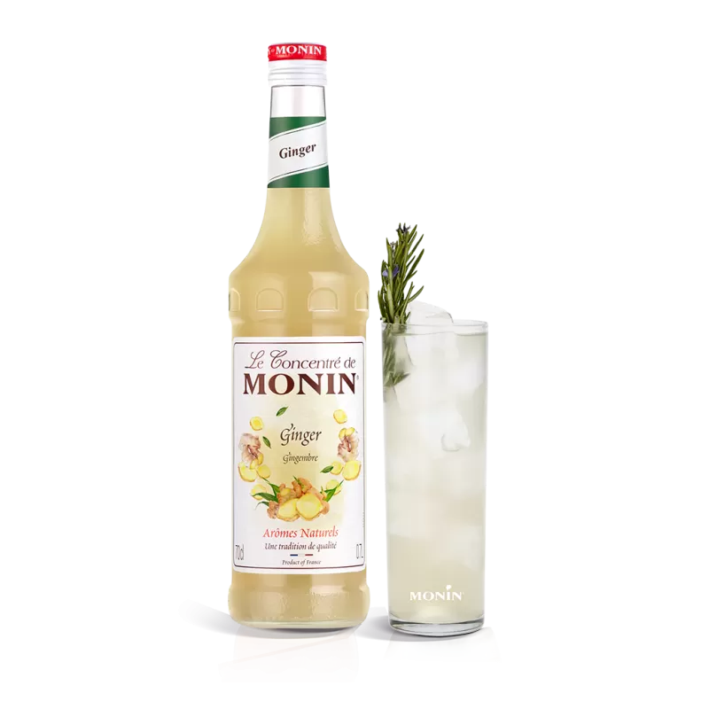 Monin Gember concentraat | dekoffiethuiswinkel
