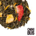 Tropisch Groen BIO - Groene thee|Omnibus thee