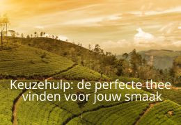 Keuzehulp: de perfecte thee vinden voor jouw smaak